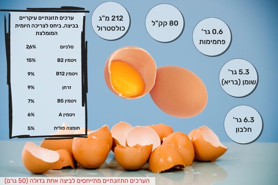 ערכים תזונתיים בביצה - האם ביצים זה בריא