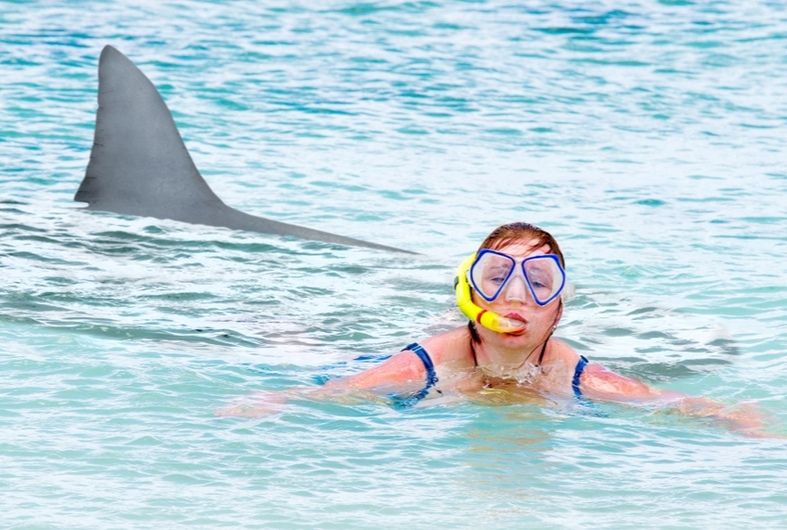 אישה שוחה בים ליד כריש