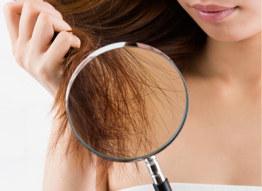 אישה בוחנת את השיער בזכוכית מגדלת - שיער יבש
