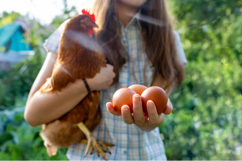ילדה מחזיקה ביד תרנוגלת וביצים