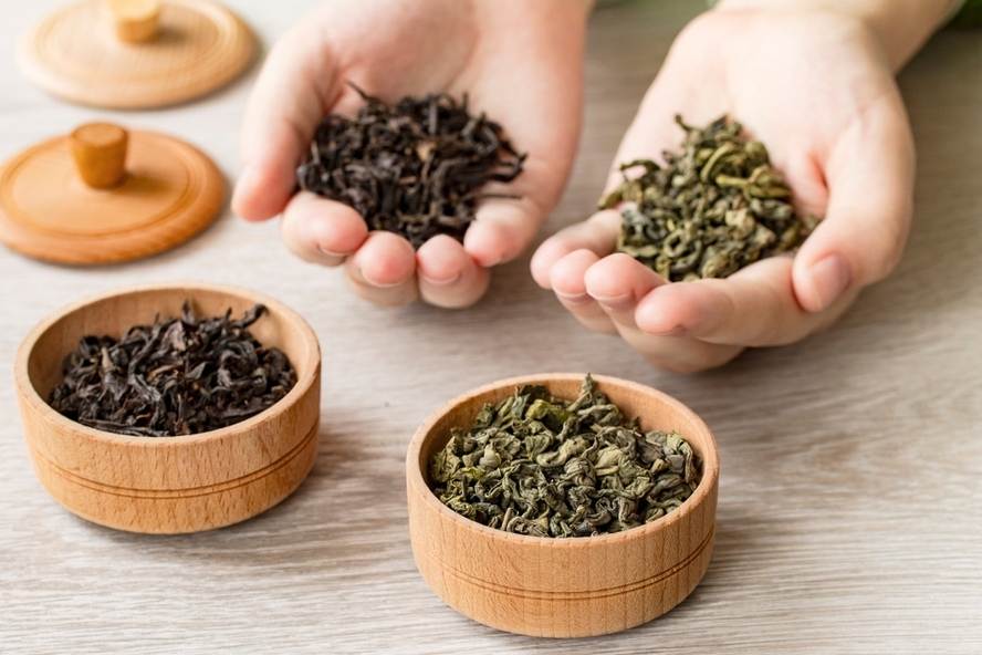 תה ירוק ותה שחור יתרונות בריאותיים