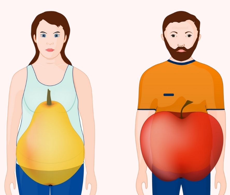 אישה עם מבנה גוף אגסי וגבר עם מבנה גוף תפוחי בעל שומן בטנישומן בטני 